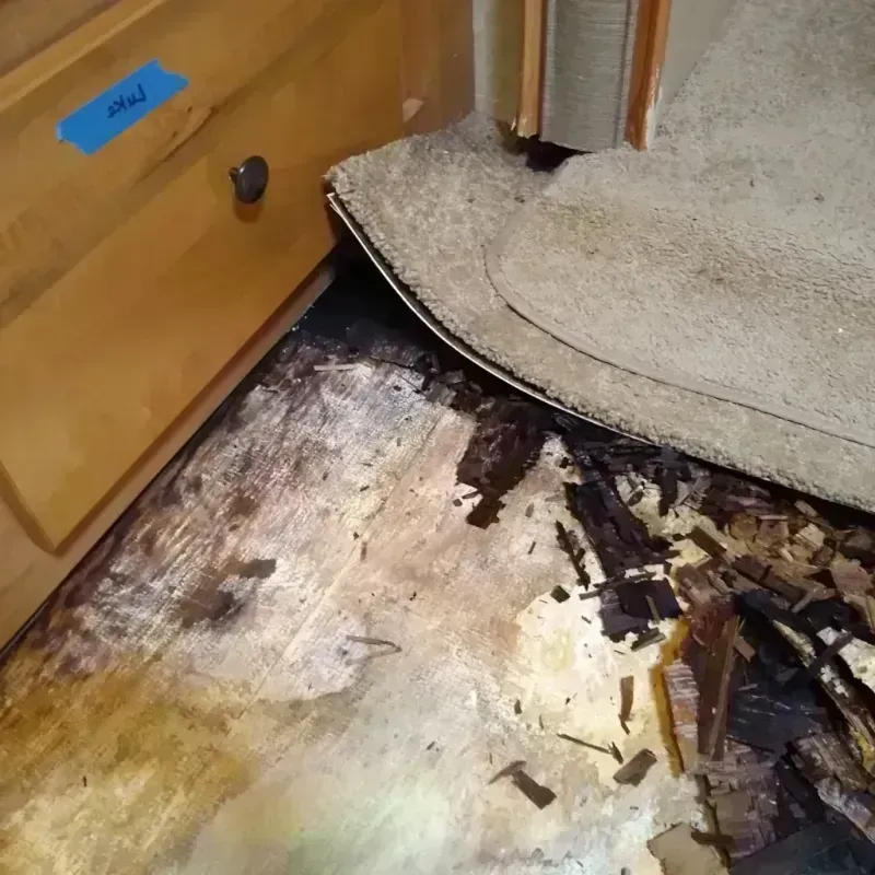 Wood Floor Water Damage in Barry County, MO